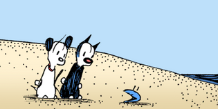  A Note From Team MUTTS: August 2022