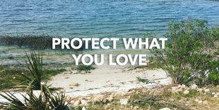  How Do You #ProtectWhatYouLove? Send Us Your Photos and Stories!