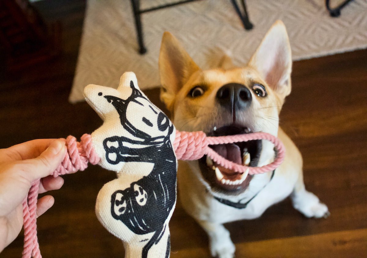 Pets - MUTTS