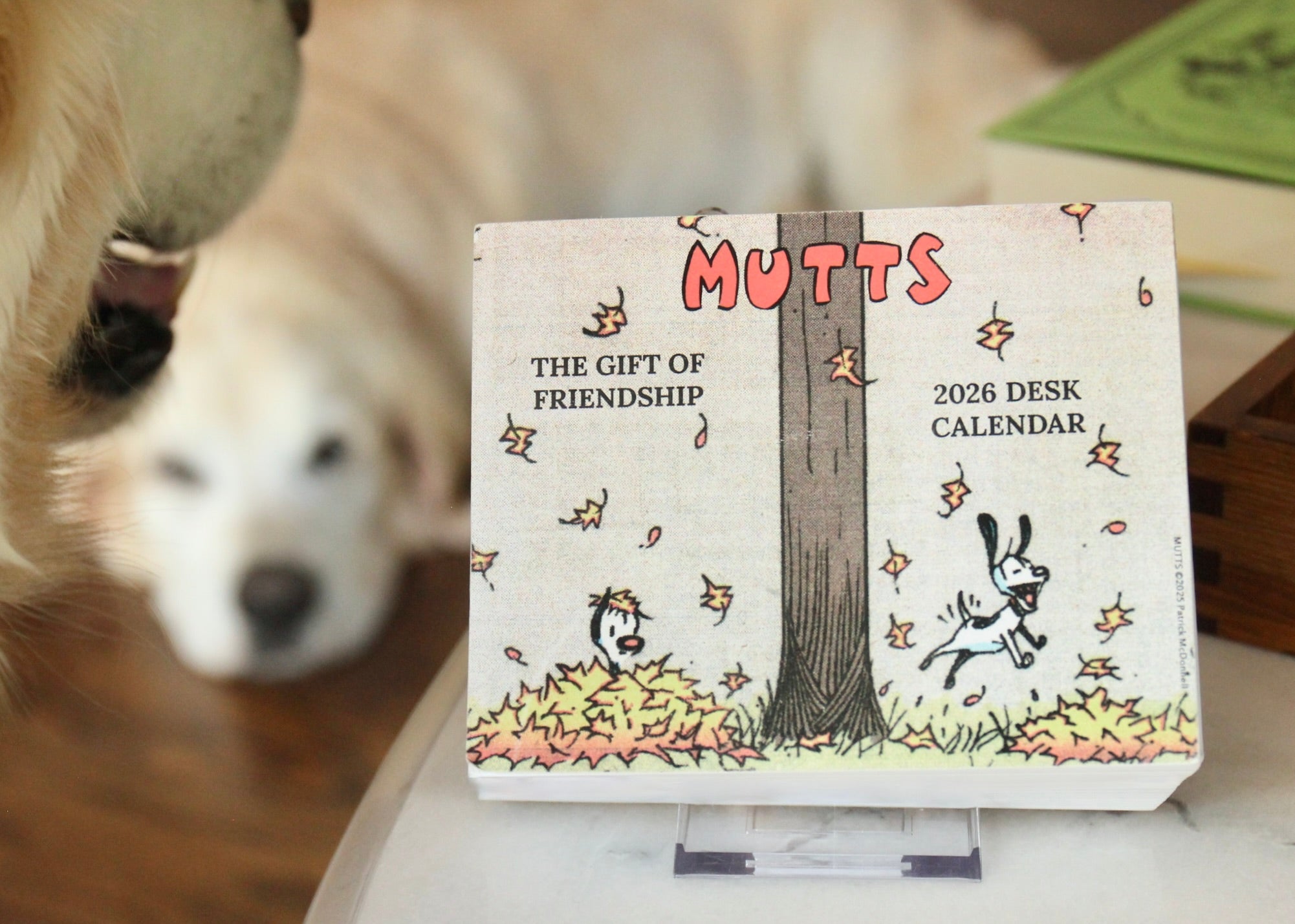 Calendars & Planners - MUTTS