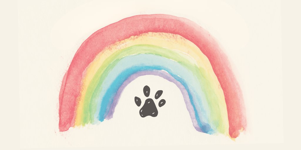 Pet Memorial & Rainbow Bridge Gifts