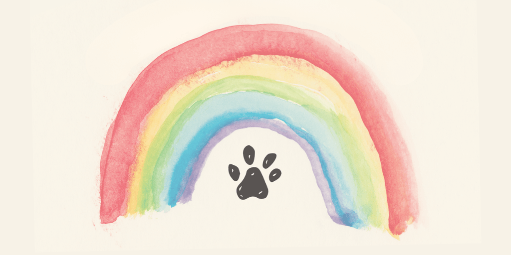 Rainbow Bridge Cards - MUTTS