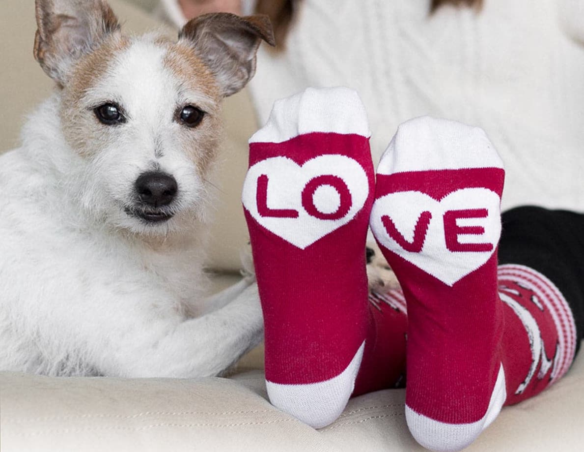Socks - MUTTS