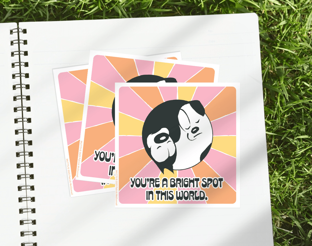 The 'Bright Spot' Collection - MUTTS
