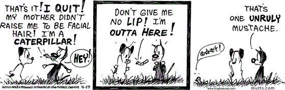 April 19 2024, Daily Comic Strip: In this MUTTS strip, a caterpillar on Mooch's face declares, "That's it! I quit! My mother didn't raise me to be facial hair! I'm a caterpillar!" Mooch replies, "Hey!" and the caterpillar responds, "Don't give me no lip! I'm outta here!" As the caterpillar worms away angrily, Mooch says, "That's one unruly mustache."