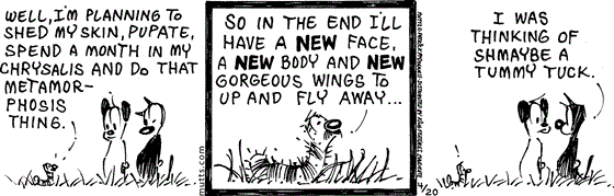April 20 2024, Daily Comic Strip: In this MUTTS comic, a caterpillar tells Mooch and Earl, "Well, I'm planning to shed my skin, pupate, spend a month in my chrysalis and do that metamorphosis thing. So in the end I'll have a new face, a new body, and new gorgeous wings to up and fly away..." Mooch tells Earl, "I was thinking of shmaybe a tummy tuck."