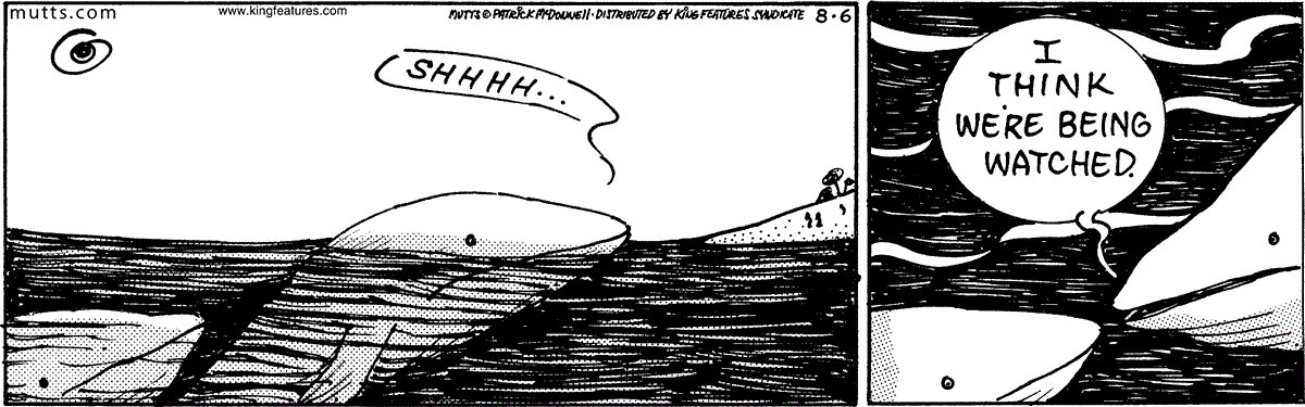 August 6 2025, Daily Comic Strip