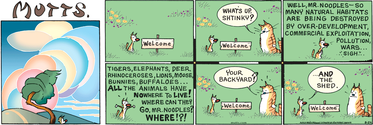 August 24 2025, Sunday Comic Strip
