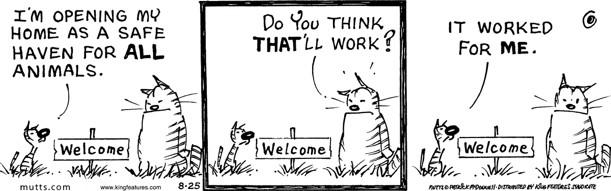 August 25 2025, Daily Comic Strip