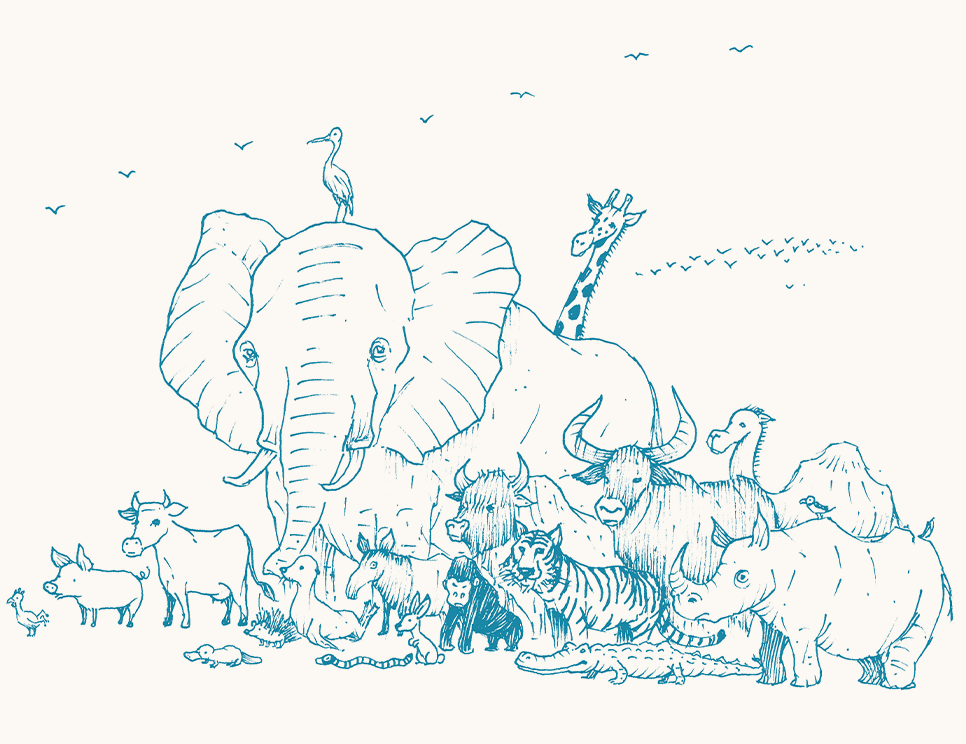 A group of animals in blue like they're there in spirit