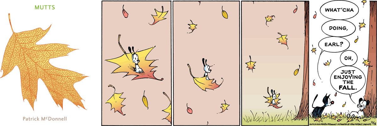 MUTTS Comic Strip: November 15, 2020