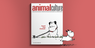 Guard Dog Featured on the Cover of Animal Culture Magazine