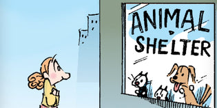  8 MUTTS Comic Strips That Show Love for Animal Shelter Workers
