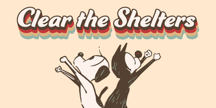  Clear the Shelters 2025: Adopt & Foster Love This Month - MUTTS