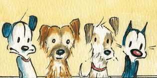  Foster Love: Busting Myths About Fostering Shelter Pets - MUTTS
