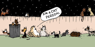  Something to Noodle On: Caring for Community Cats - MUTTS