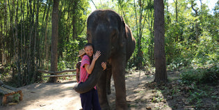  I Visited Two Different Elephant Camps in Thailand. Here's What I Learned.