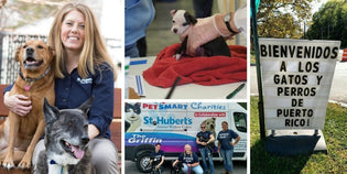  In the Wake of Disaster: Heather Cammisa of St. Hubert's Animal Welfare Center on Transporting Animals in Need - MUTTS