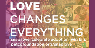  MUTTS Teams Up With Petco Foundation for Annual 'Love Changes Everything' Campaign