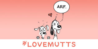  This Video of Sweet Shelter Dogs Reminds Us Why We #LoveMUTTS