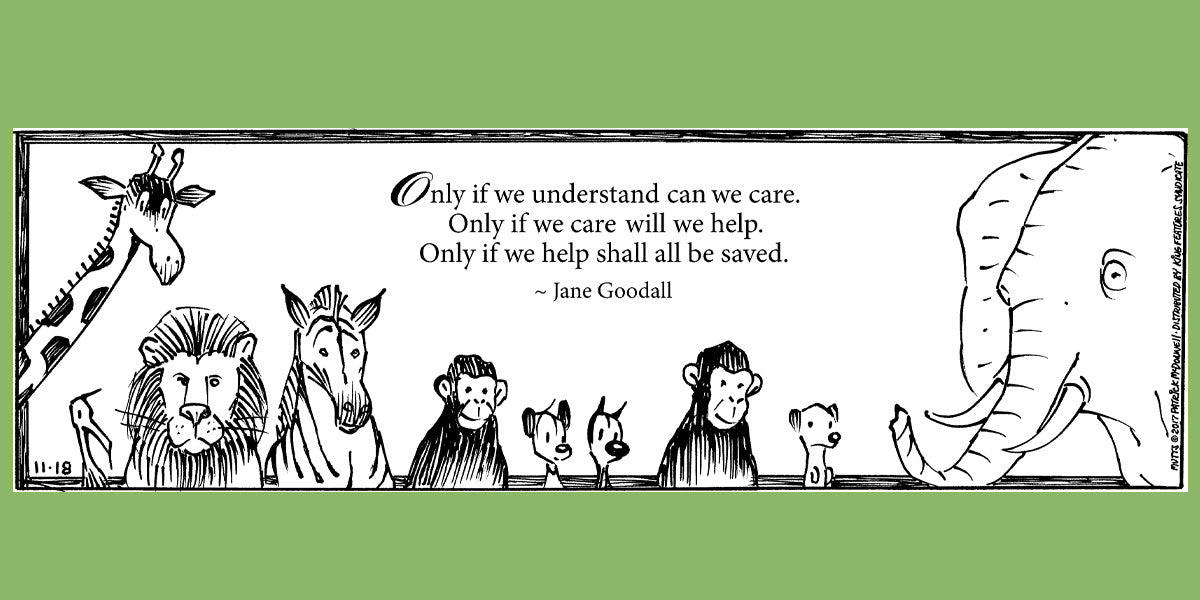 What MUTTS Means To You Making A Difference