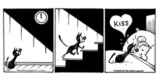  What MUTTS Means to You: The Important Moments