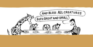  A Note From Patrick: November 2020 - MUTTS