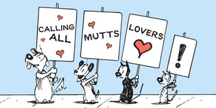  Nominate an Animal Advocate for MUTTS Reader of the Month!