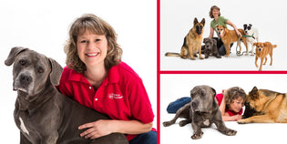  From Corporate Law to Saving Lives: How the President of Petco Foundation Found Her True Calling