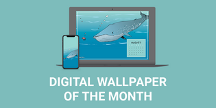  MUTTS Digital Wallpaper of the Month: August 2022