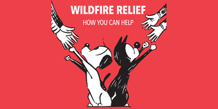  Helping People and Animals Affected by the Southern California Wildfires