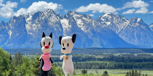  Exploring Yellowstone: The Adventures of Mooch and Earl