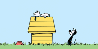  Celebrating Snoopy and Earl, and the Anniversaries of Peanuts and MUTTS - MUTTS