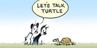  Facts and Misconceptions About Caring for Turtles and Tortoises