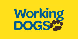  MUTTS to Be Featured in 'Working Dogs' Exhibition at Charles M. Schulz Museum