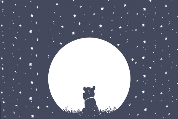 The 'Wish on a Star' Collection - MUTTS
