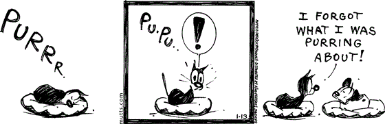 January 13 2025, Daily Comic Strip: In this MUTTS strip, Mooch is happily purring in bed when he suddenly wakes up. He tells Earl, "I forgot what I was purring about!"