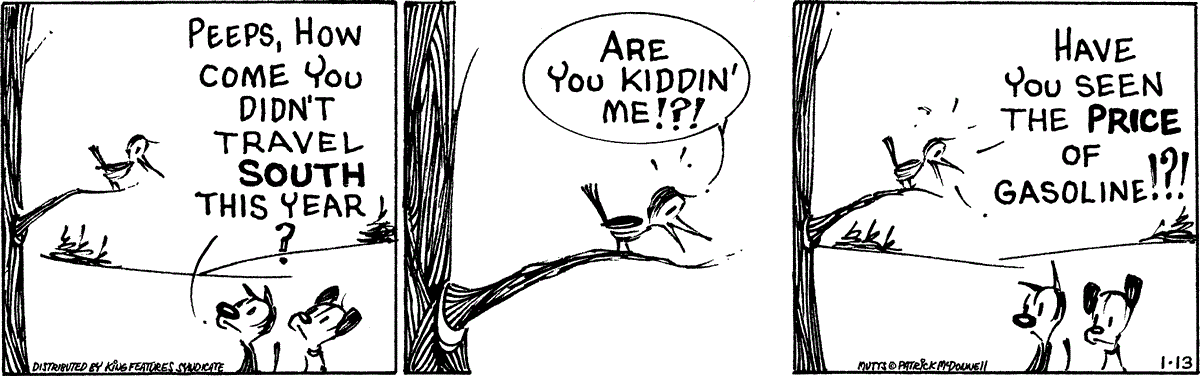 January 13 2026, Daily Comic Strip