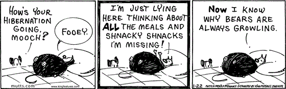 January 22 2025, Daily Comic Strip: In this MUTTS comic, Earl asks a rotund Mooch, "How's your hibernation going, Mooch?" He replies, "Fooey. I'm just lying here thinking about all the meals and shnacky shnacks I'm missing! Now I know why bears are always growling."