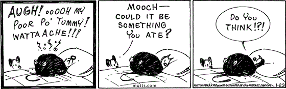 January 23 2025, Daily Comic Strip: In this MUTTS strip, a rotund Mooch complains to Earl, "Augh! Oooh my poor po' tummy! Watta ache!!!" Earl asks, "Mooch, could it be something you ate?" Mooch replies, "Do you think!?!"