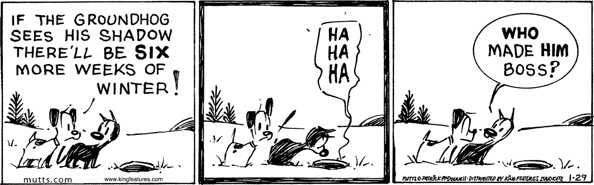 January 29 2026, Daily Comic Strip