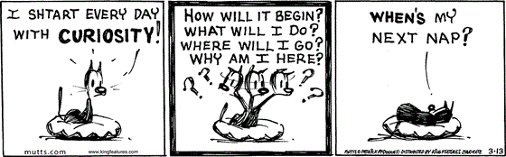 March 13 2025, Daily Comic Strip: In this MUTTS strip, Mooch says, "I shtart every day with curiosity! How will it begin? What will I do? Where will I go? Why am I here?" He curls up in his bed and finishes with, "When's my next nap?"