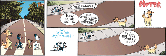 March 23 2025, Sunday Comic Strip: In this colorful MUTTS comic, Mooch shouts across a road, "Hey, Woofie! How do we get to the other side of the shtreet?" Woofie replies, "You're on the other side!"