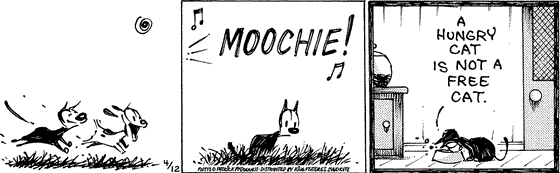April 12 2024, Daily Comic Strip: In this MUTTS comic, Mooch and Earl are frolicking when he hears a "Moochie!" from afar. Back at home eating his food, Mooch says, "A hungry cat is not a free cat."