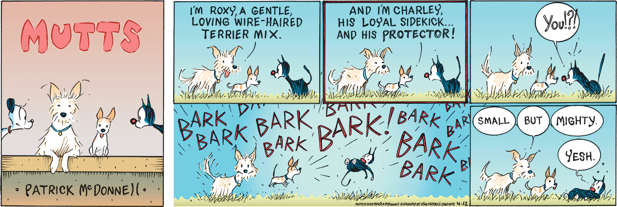 April 12 2026, Sunday Comic Strip