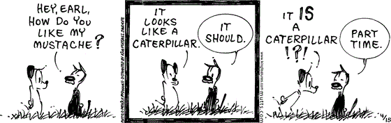 April 15 2024, Daily Comic Strip: In this MUTTS strip, Mooch sports fake facial hair and asks, "Hey, Earl, How do you like my mustache?" Earl replies, "It looks like a caterpillar." Mooch says, "It should." Incredulous, Earl asks, "It is a caterpillar!?!" and Mooch replies, "Part time."