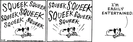 April 15 2025, Daily Comic Strip: In this MUTTS strip, Earl plays with a squeaky bone, making endless "Squeek" sounds. He says, "I'm easily entertained."