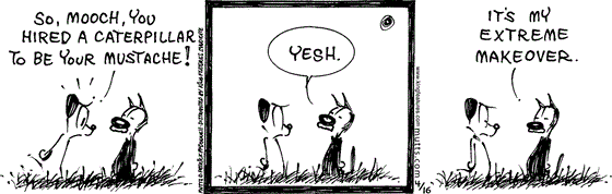 April 16 2024, Daily Comic Strip: In this MUTTS comic, Earl points out Mooch's new fake facial hair and says, "So, Mooch, you hired a caterpillar to be your mustache!" Mooch replies, "Yesh. It's my extreme makeover."