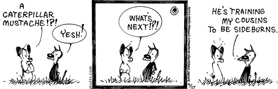April 17 2024, Daily Comic Strip: In this MUTTS strip, Earl points out Mooch's new fake facial hair and says, "A caterpillar mustache!?!" Mooch replies, "Yesh!" Earl asks, "What's next!?!" and the caterpillar answers, "He's training my cousins to be sideburns."