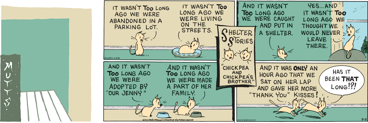 May 3 2026, Sunday Comic Strip